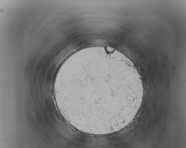 X0000062850146200601272050