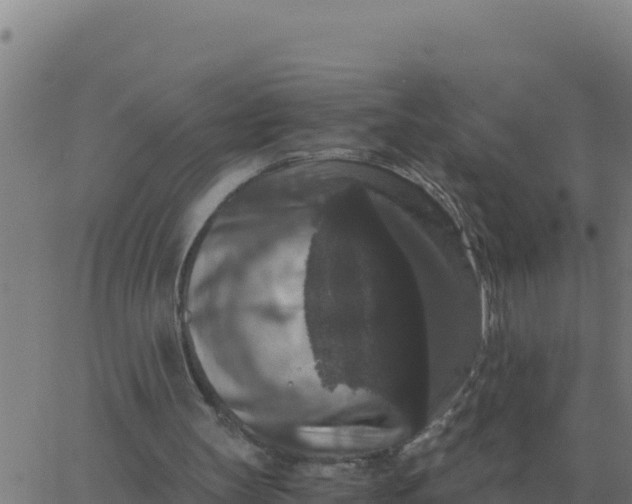 X0000062850147200601272050