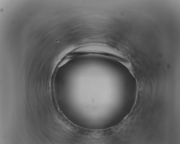 X0000062850148200601272050