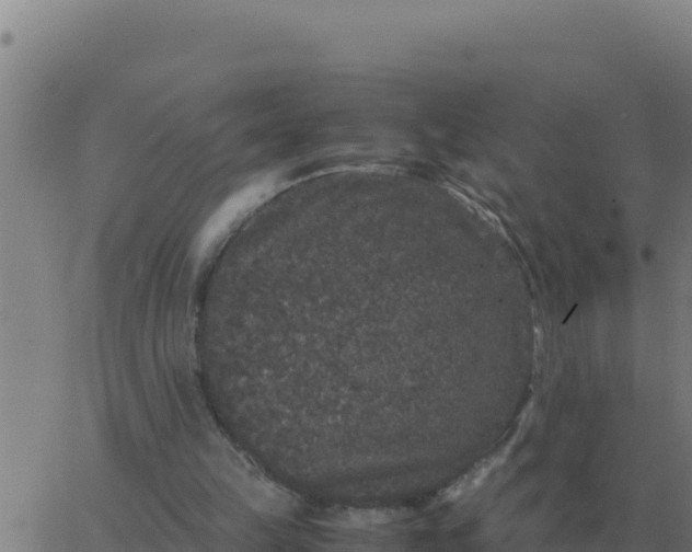 X0000062850149200601272050