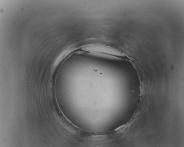 X0000062850150200601272050