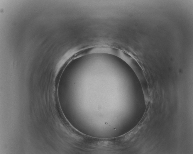 X0000062850152200601272050