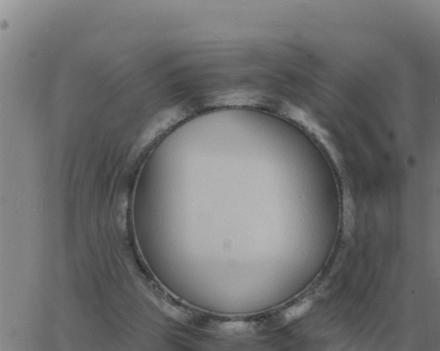 X0000062850153200601272050