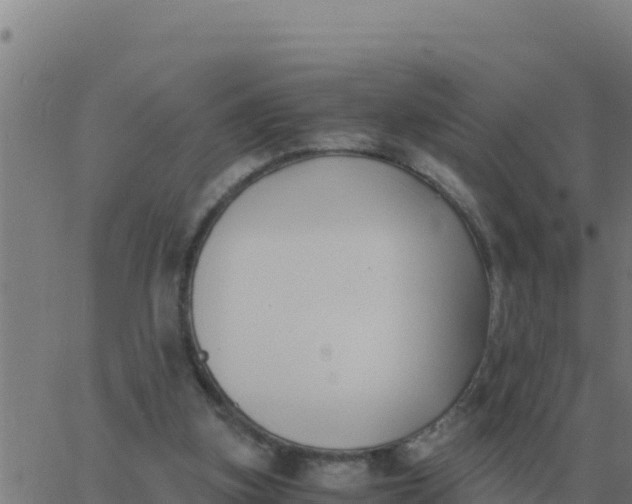 X0000062850155200601272050