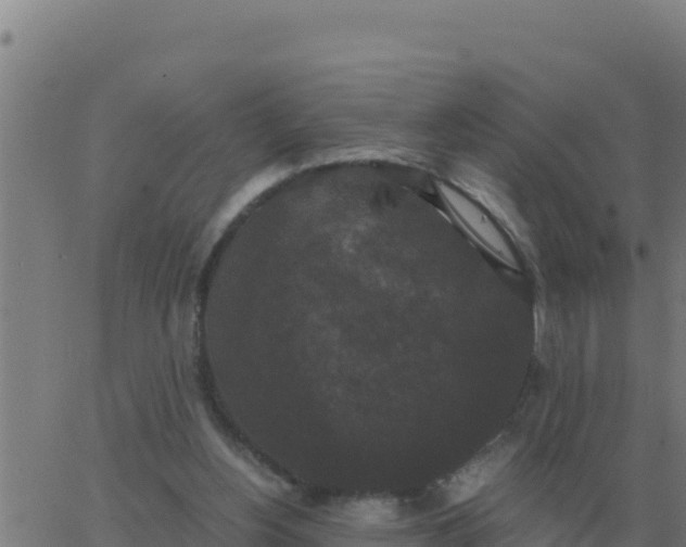 X0000062850156200601272050