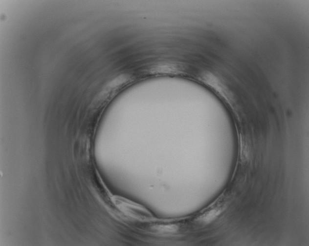 X0000062850157200601272050