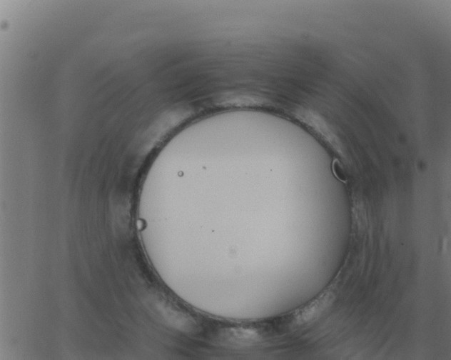 X0000062850159200601272050