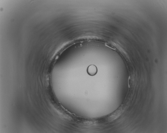 X0000062850160200601272050