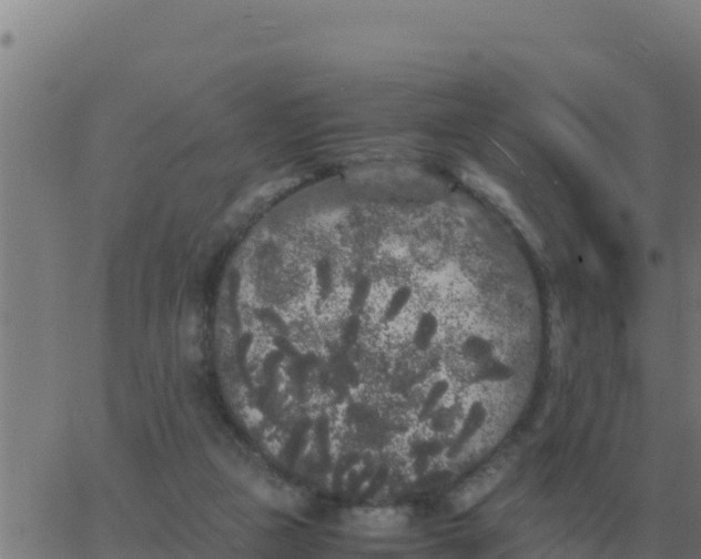 X0000062850161200601272050