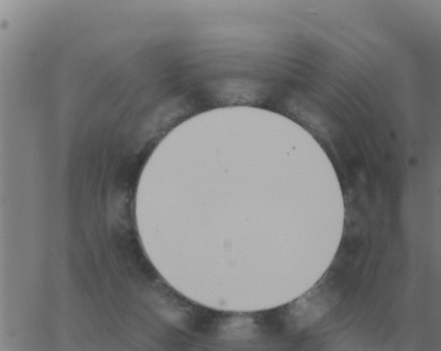 X0000062850162200601272050