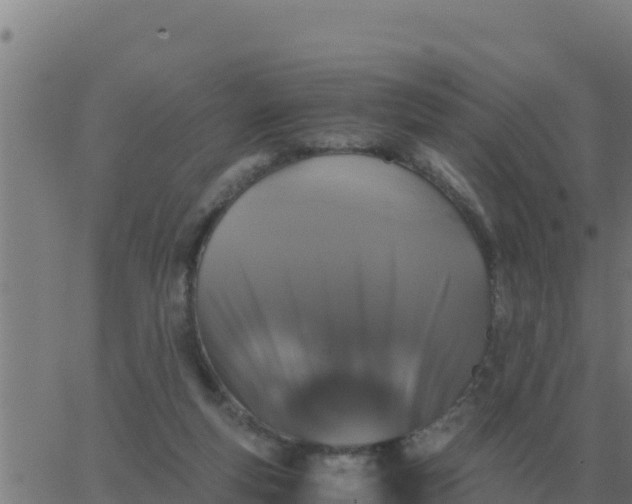 X0000062850163200601272050