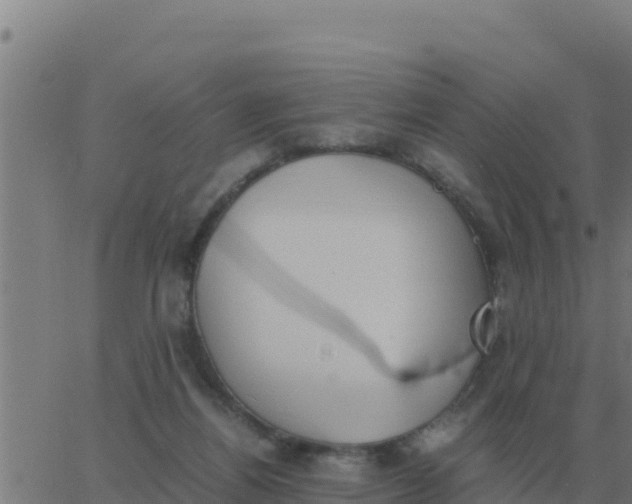 X0000062850164200601272050