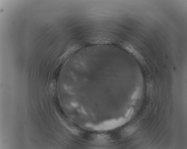 X0000062850165200601272050