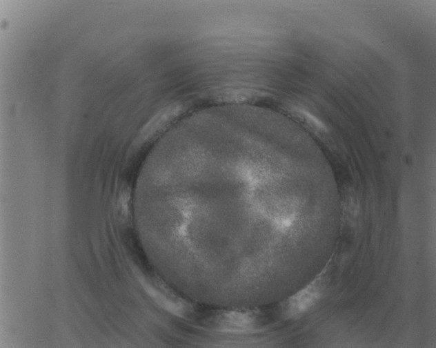 X0000062850166200601272050