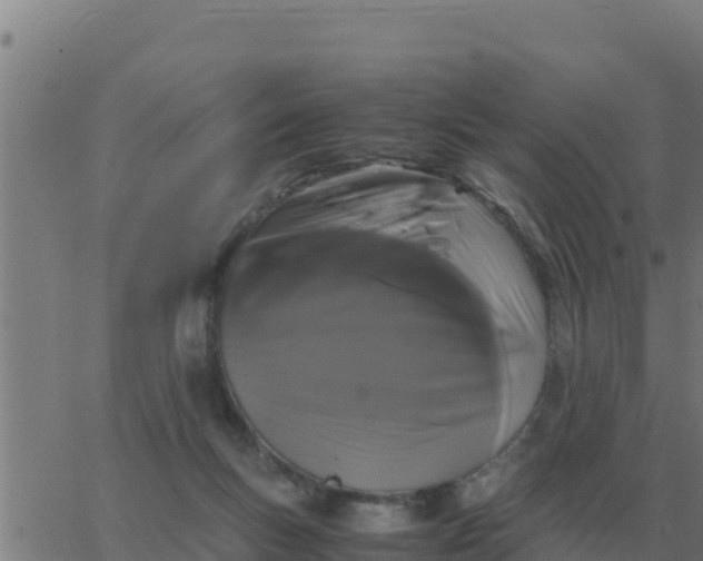 X0000062850167200601272050