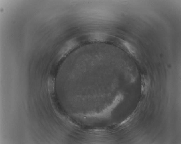 X0000062850168200601272050