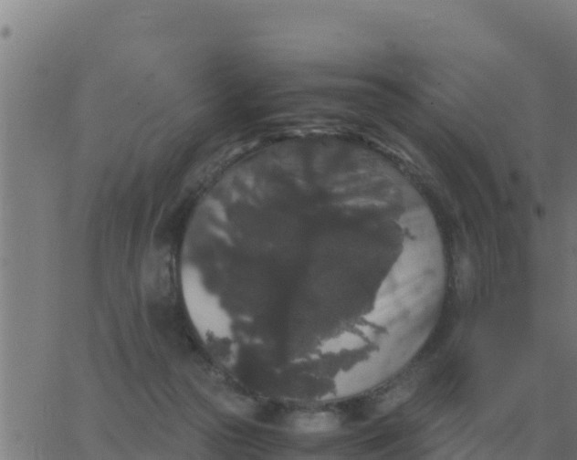 X0000062850169200601272050