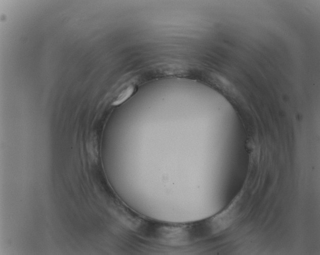 X0000062850170200601272050