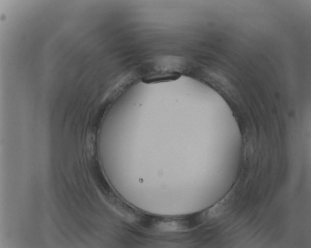 X0000062850171200601272050