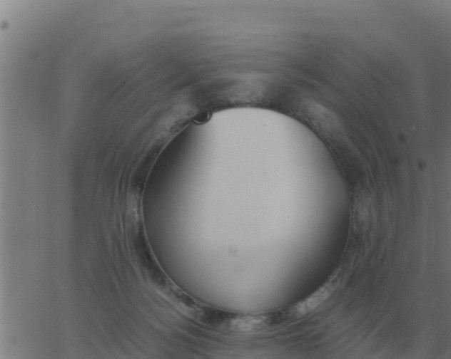 X0000062850172200601272050