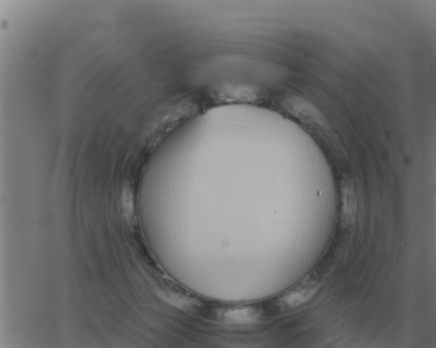 X0000062850173200601272050