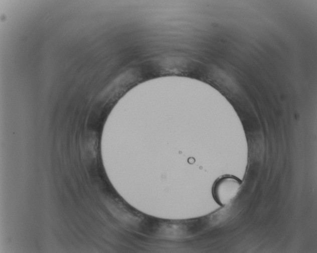 X0000062850174200601272050