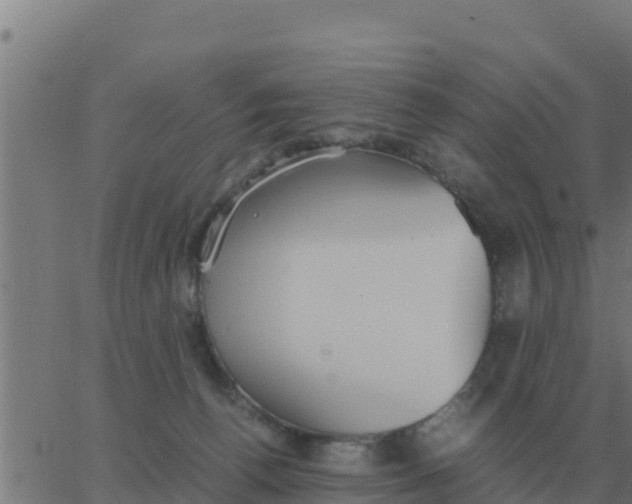 X0000062850176200601272050