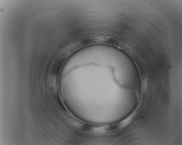 X0000062850178200601272050