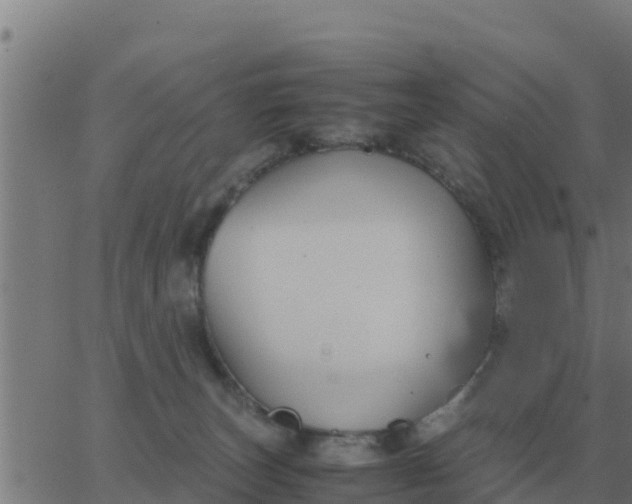 X0000062850179200601272050