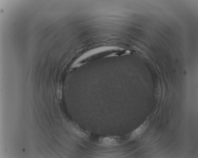 X0000062850180200601272050