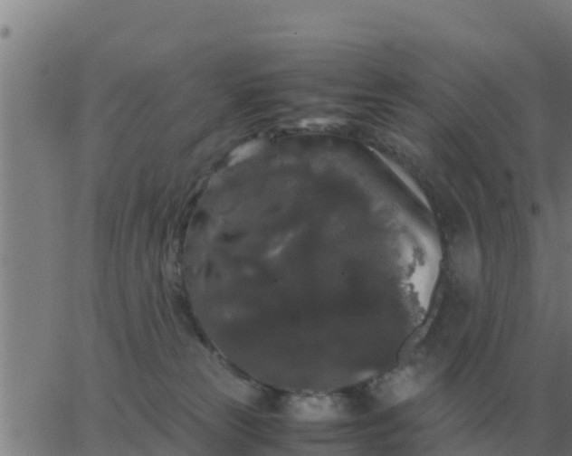 X0000062850181200601272050