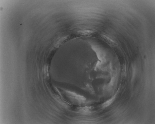 X0000062850182200601272050