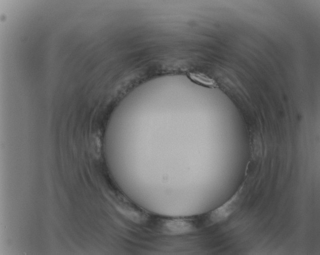 X0000062850183200601272050