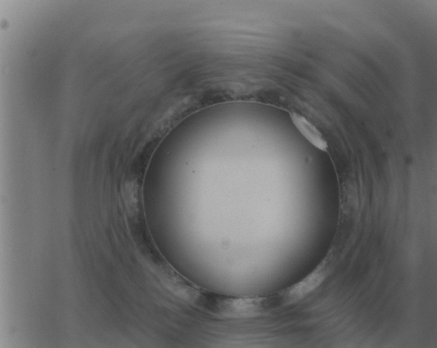 X0000062850184200601272050