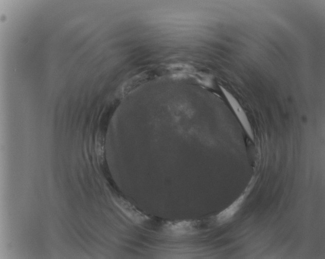 X0000062850186200601272050