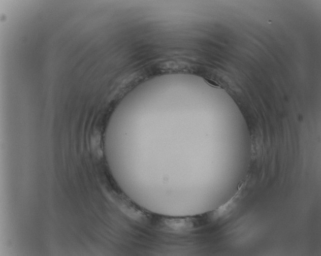 X0000062850187200601272050