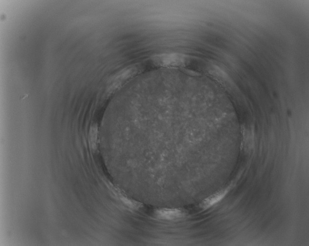 X0000062850189200601272050