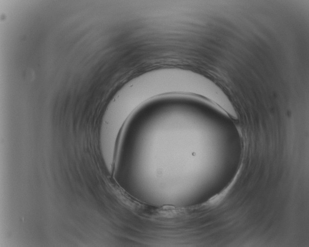 X0000062850190200601272050