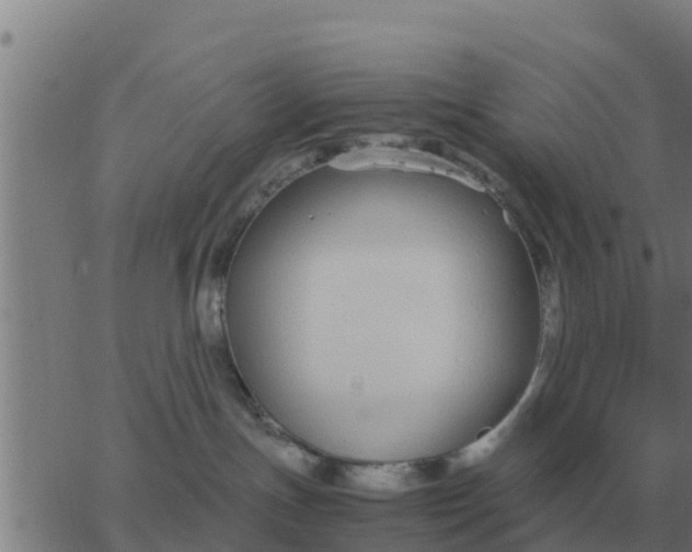 X0000062850191200601272050