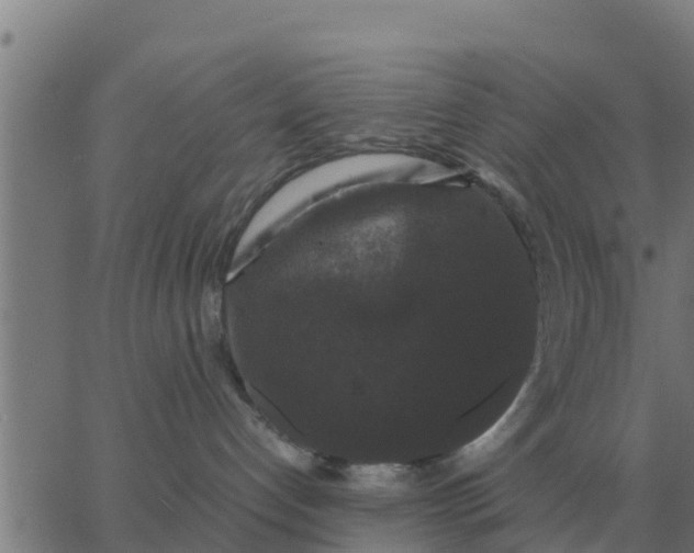 X0000062850192200601272050