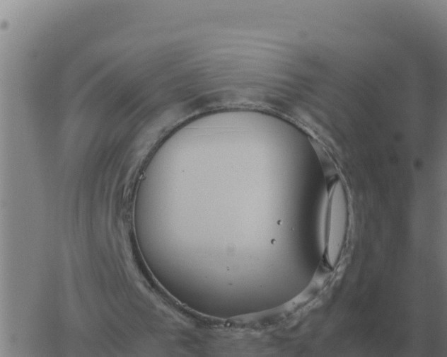 X0000062850193200601272050