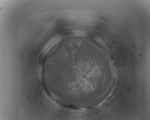 X0000062850194200601272050