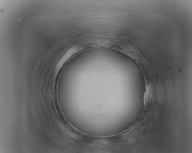 X0000062850195200601272050