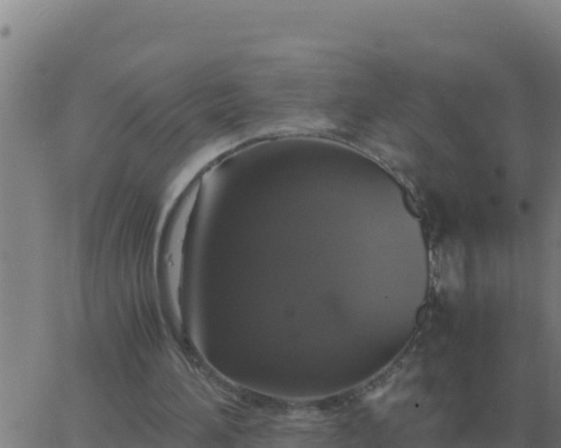 X0000062850196200601272050