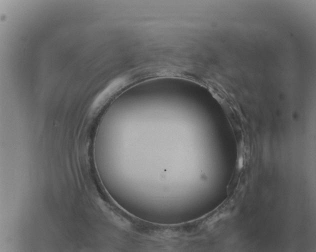 X0000062850197200601272050