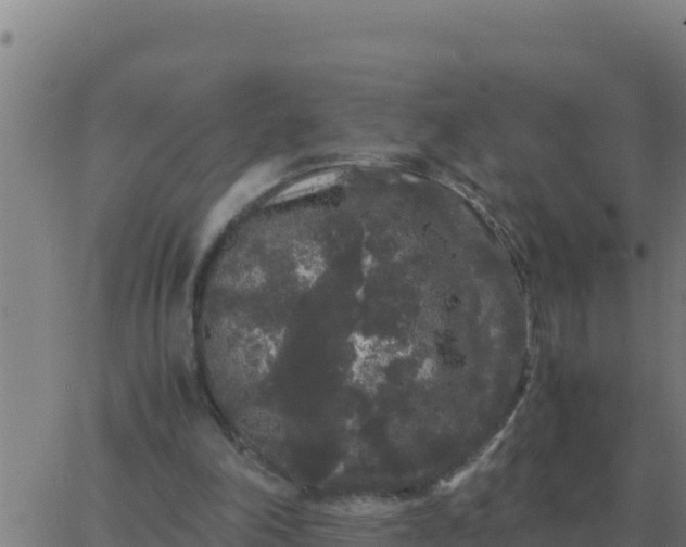 X0000062850198200601272050