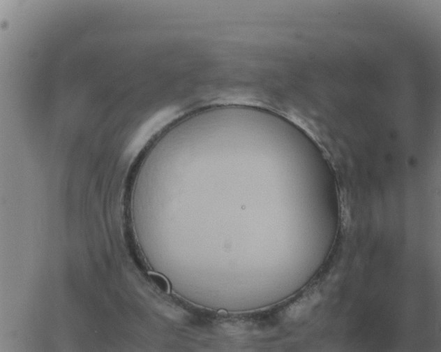 X0000062850199200601272050