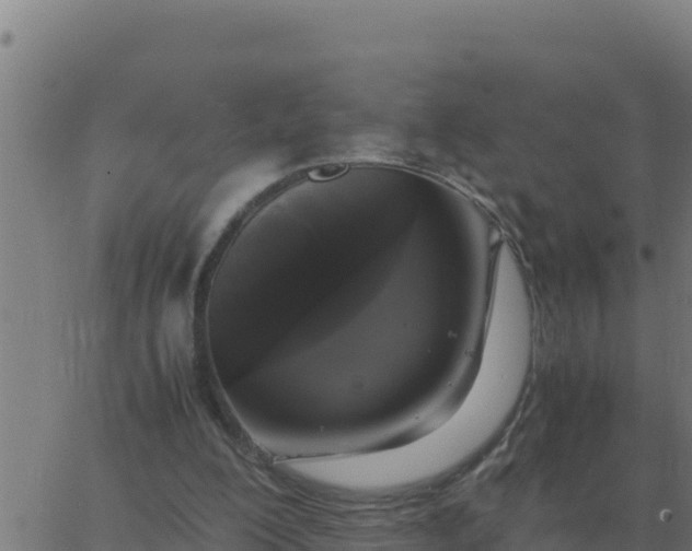 X0000062850200200601272050