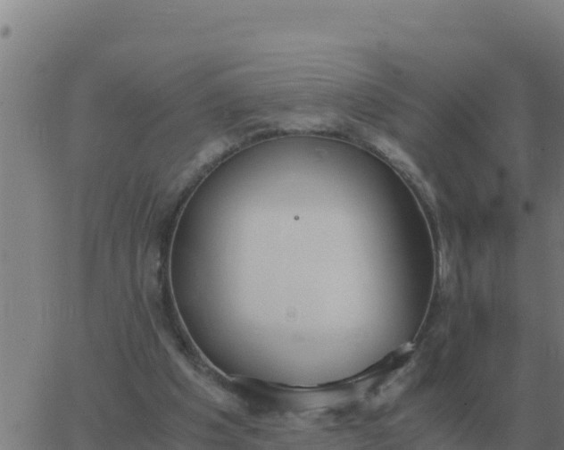 X0000062850201200601272050