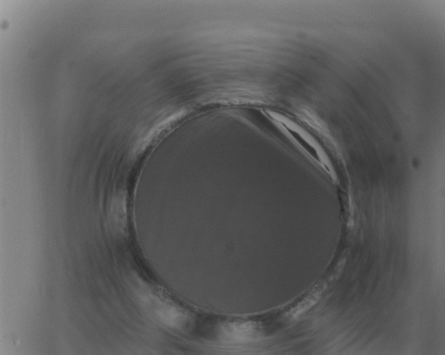 X0000062850202200601272050